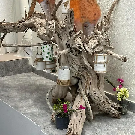 In Himaras Heart מלון 3*