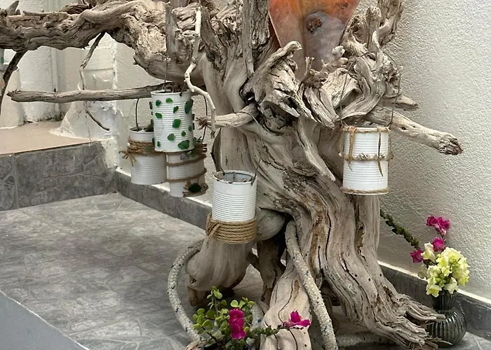 In Himaras Heart Hotel 3*